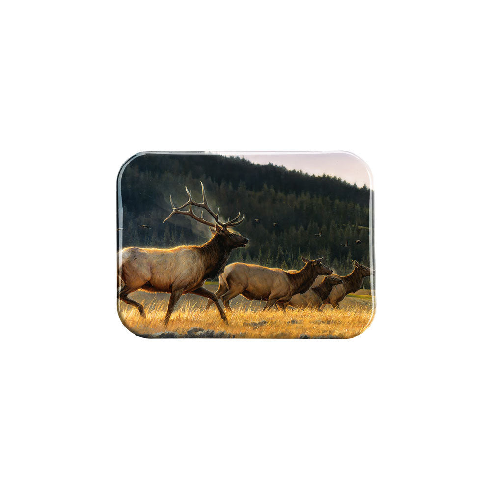 "Flyin High" - 2.5" X 3.5" Rectangle Fridge Magnets
