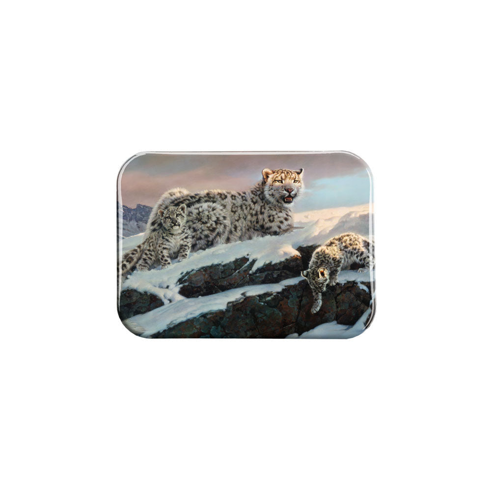 "Lucky Number" - 2.5" X 3.5" Rectangle Fridge Magnets