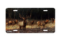 "Morning Magic" - Decorative License Plate