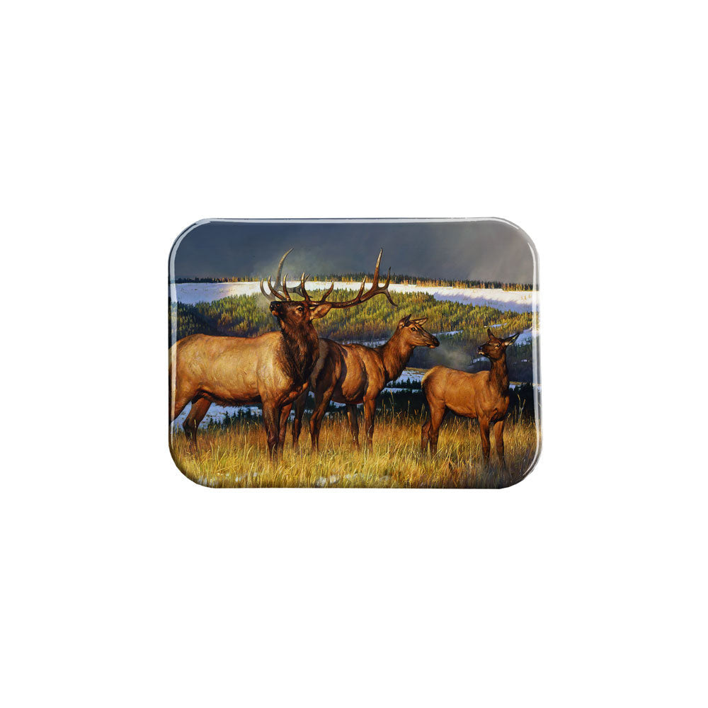 "Prelude II" - 2.5" X 3.5" Rectangle Fridge Magnets