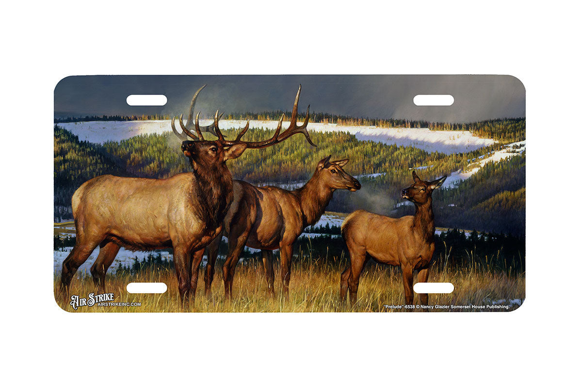 "Prelude" - Decorative License Plate