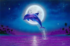Moonlit Dolphin – Coastal Matted Art Print