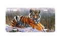 "Tiger Cub" - Decorative License Plate