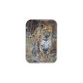 "Leopard" - 2.5" X 3.5" Rectangle Fridge Magnets