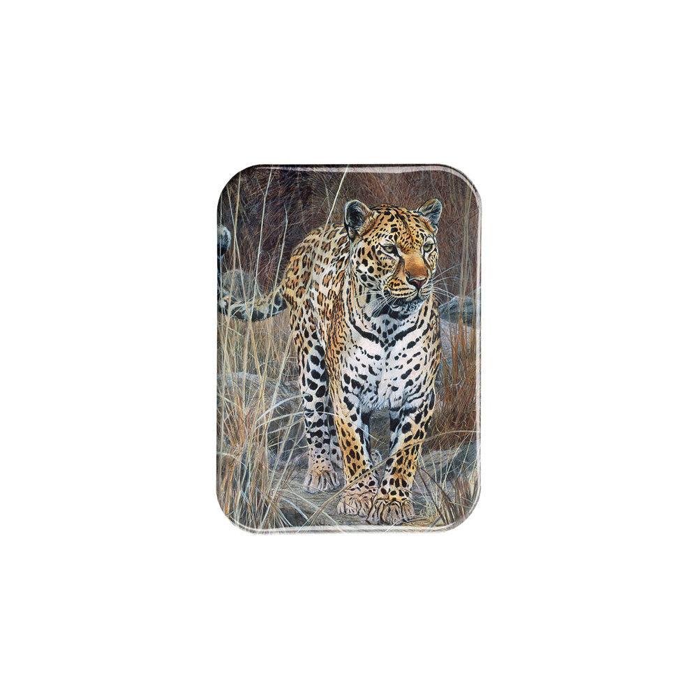 "Leopard" - 2.5" X 3.5" Rectangle Fridge Magnets