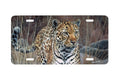 "Leopard" - Decorative License Plate