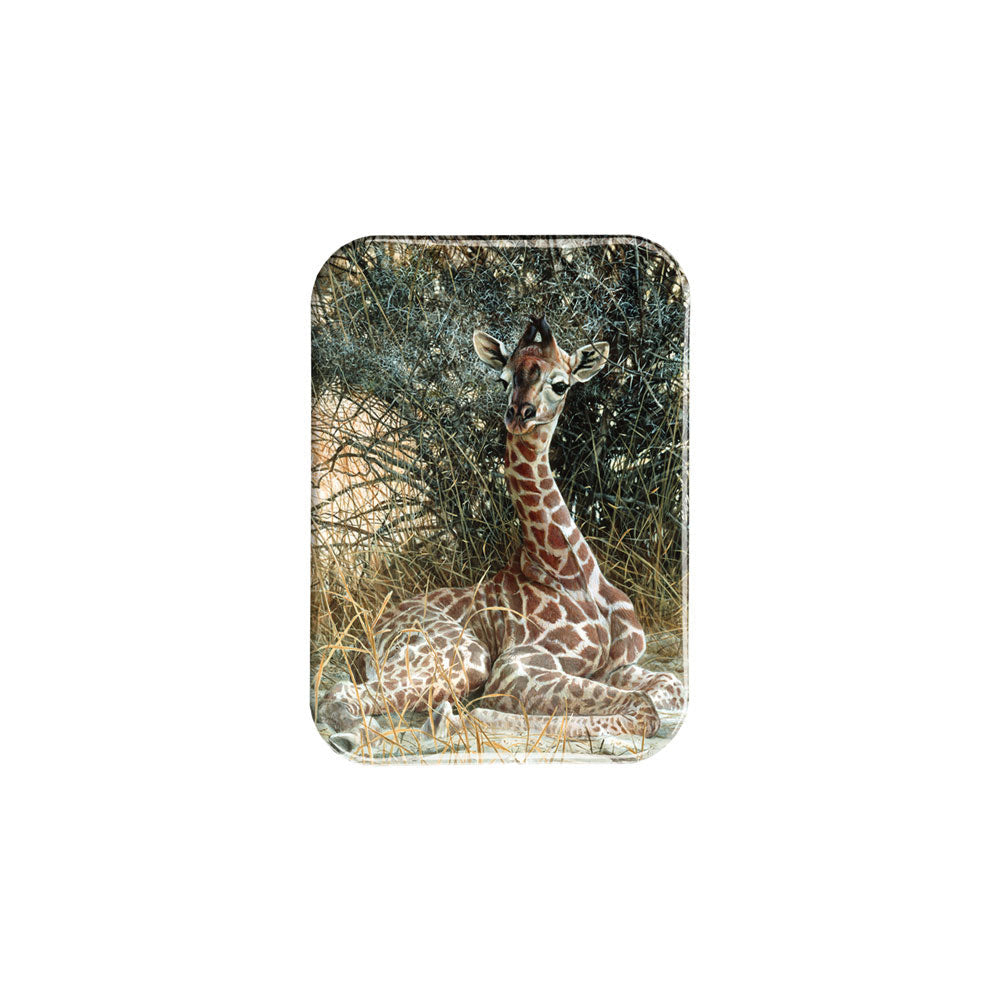 "Hidden Treasure" - 2.5" X 3.5" Rectangle Fridge Magnets