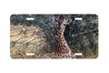 "Hidden Treasure" - Decorative License Plate