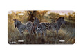 "The Three Graces" - Decorative License Plate