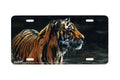"Chilling Out" - Decorative License Plate