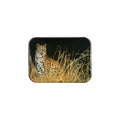 "The Leopard Hunts Alone" - 2.5" X 3.5" Rectangle Fridge Magnets