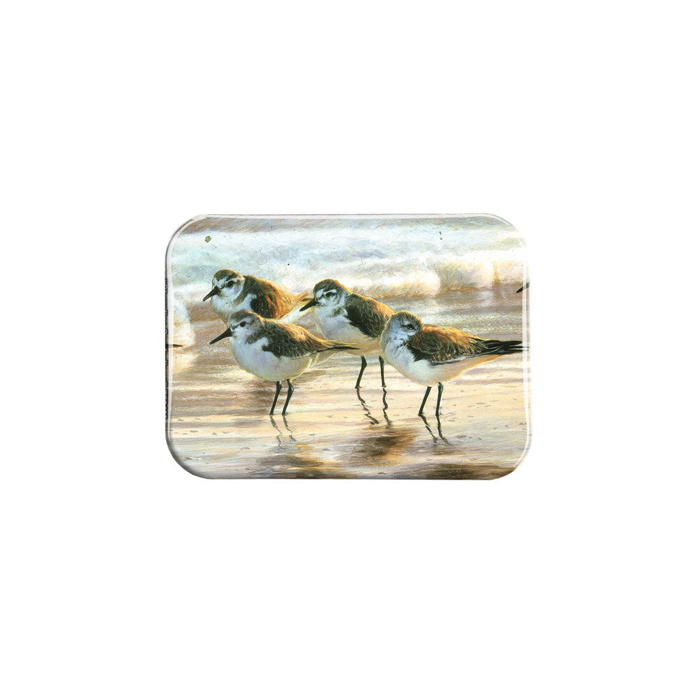 "Shoreline Sanderlings" - 2.5" X 3.5" Rectangle Fridge Magnets