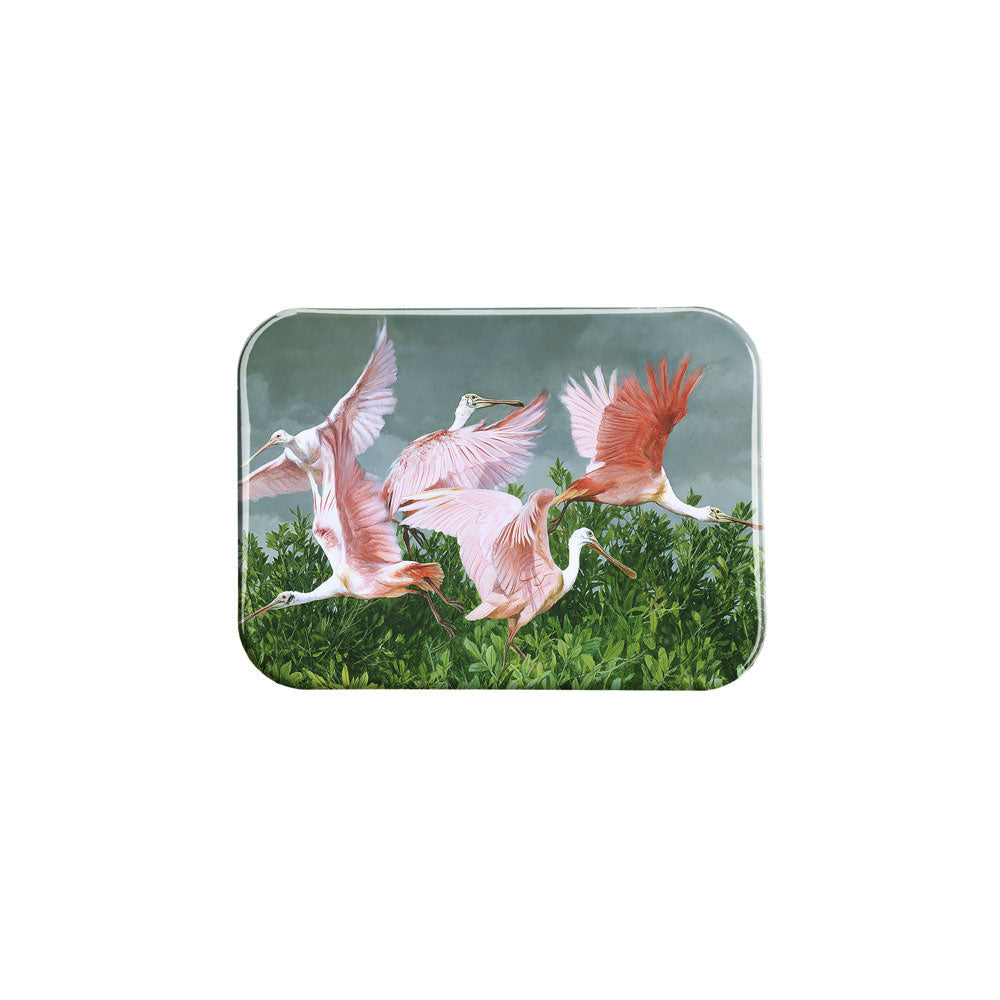 "Roseate Spoonbills" - 2.5" X 3.5" Rectangle Fridge Magnets