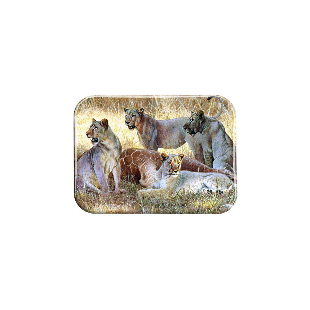 "Lions Killed Giraffe" - 2.5" X 3.5" Rectangle Fridge Magnets
