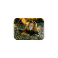 "Lion" - 2.5" X 3.5" Rectangle Fridge Magnets