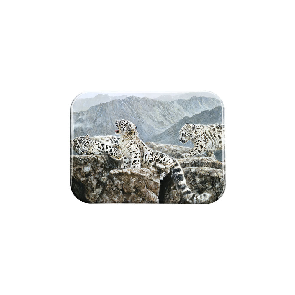 "HiJinks" - 2.5" X 3.5" Rectangle Fridge Magnets