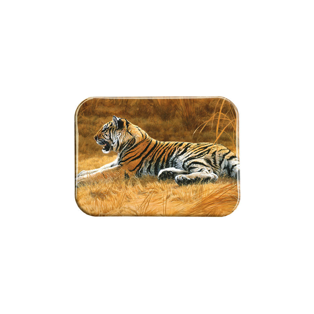 "Golden Dawn Young Tiger" - 2.5" X 3.5" Rectangle Fridge Magnets