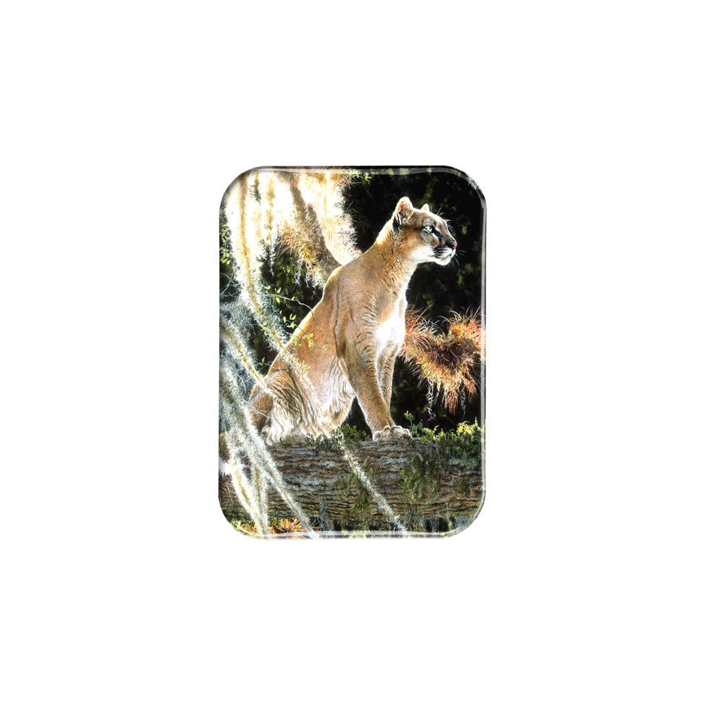 "Florida Panther" - 2.5" X 3.5" Rectangle Fridge Magnets