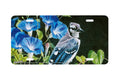 "Blue Jay on Fence" - Decorative License Plate