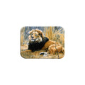 "Black Mane Lion" - 2.5" X 3.5" Rectangle Fridge Magnets