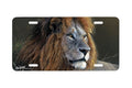 "Mara Monarch" - Decorative License Plate