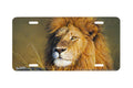 "The Sublime" - Decorative License Plate