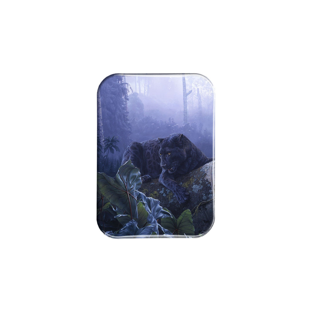 "African Ebony " - 2.5" X 3.5" Rectangle Fridge Magnets