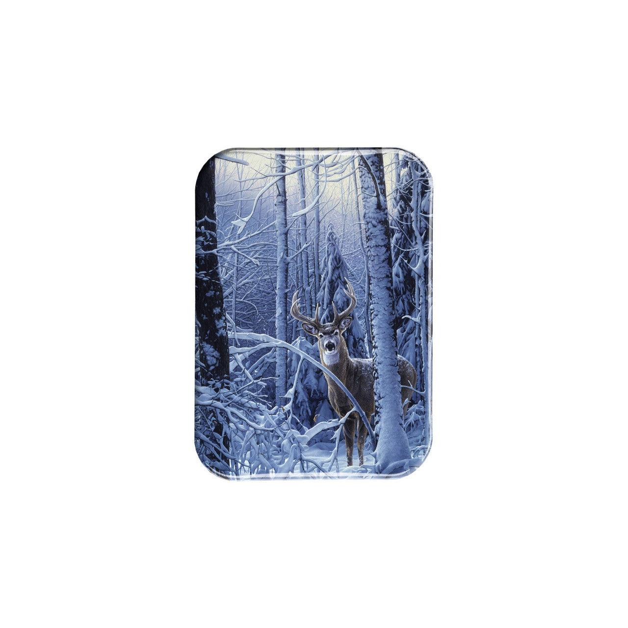 "Curious Presence" - 2.5" X 3.5" Rectangle Fridge Magnets