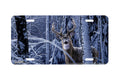 "Curious Presence" - Decorative License Plate