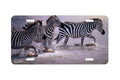 "Risky Crossing" - Decorative License Plate