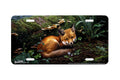 "Forest Floor " - Decorative License Plate