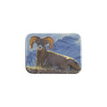 "Alpine Azure" - 2.5" X 3.5" Rectangle Fridge Magnets
