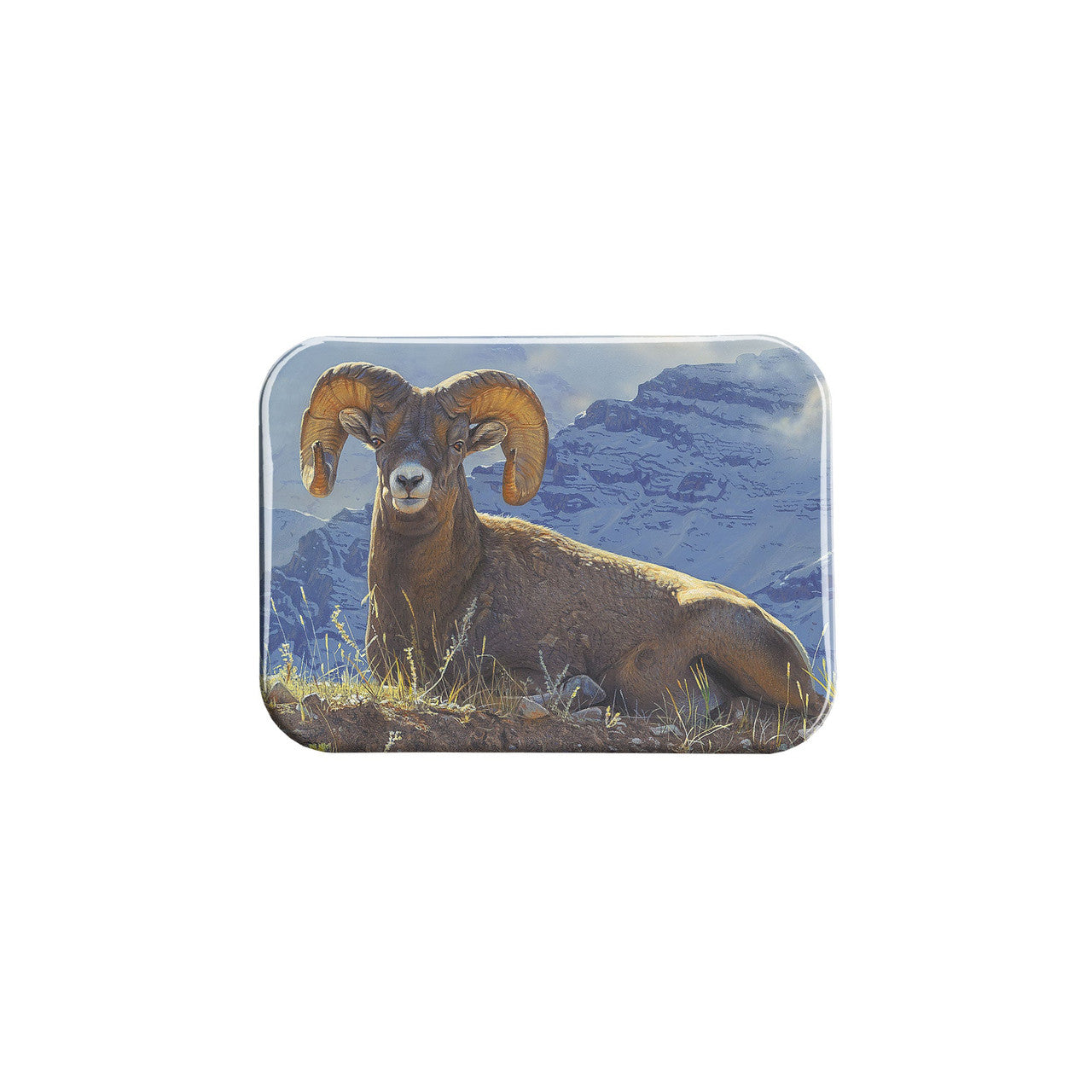 "Alpine Azure" - 2.5" X 3.5" Rectangle Fridge Magnets