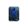 "Blue Parrot" - 2.5" X 3.5" Rectangle Fridge Magnets