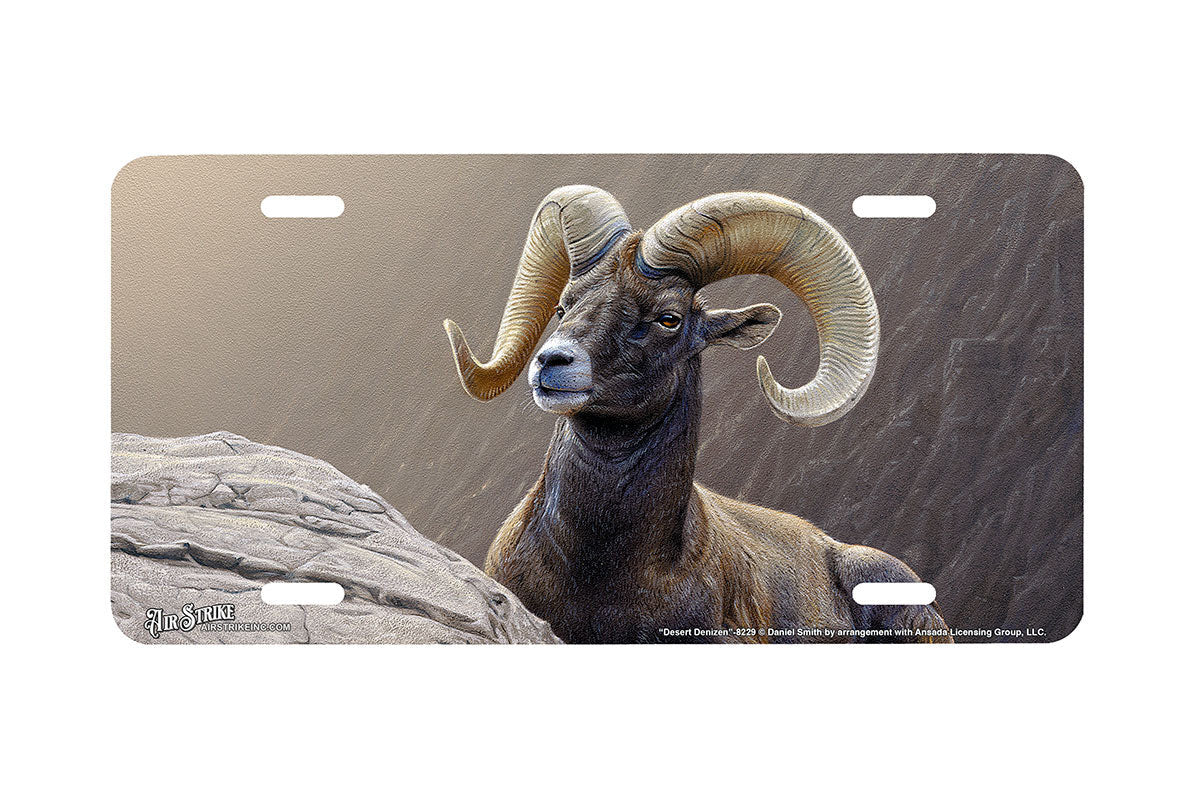 "Desert Denizen" - Decorative License Plate