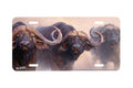"Caped Crusaders" - Decorative License Plate