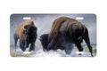 "Heavy Hitters" - Decorative License Plate