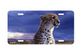 "African Tempest " - Decorative License Plate