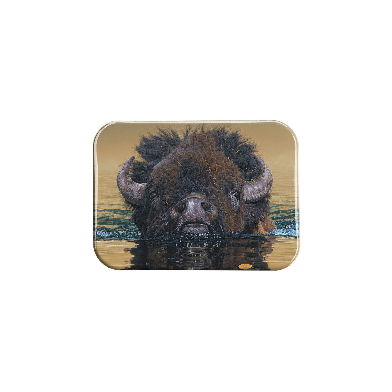 "Stillwater Crossing" - 2.5" X 3.5" Rectangle Fridge Magnets
