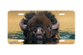 "Stillwater Crossing" - Decorative License Plate