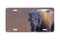 "Cowbird Companions" - Decorative License Plate