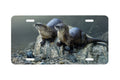 "Riverside Rapport" - Decorative License Plate