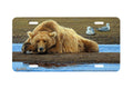 "Riverside Siesta" - Decorative License Plate