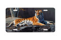 "Siberian Solitude" - Decorative License Plate
