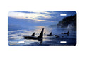 "Armada" - Decorative License Plate