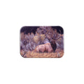 "Sagebrush Sonata" - 2.5" X 3.5" Rectangle Fridge Magnets