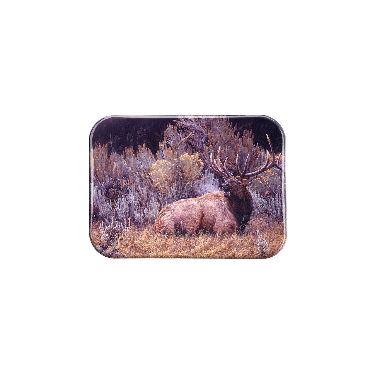 "Sagebrush Sonata" - 2.5" X 3.5" Rectangle Fridge Magnets