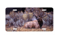 "Sagebrush Sonata" - Decorative License Plate
