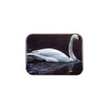 "Reflection of Light" - 2.5" X 3.5" Rectangle Fridge Magnets