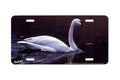 "Reflection of Light" - Decorative License Plate